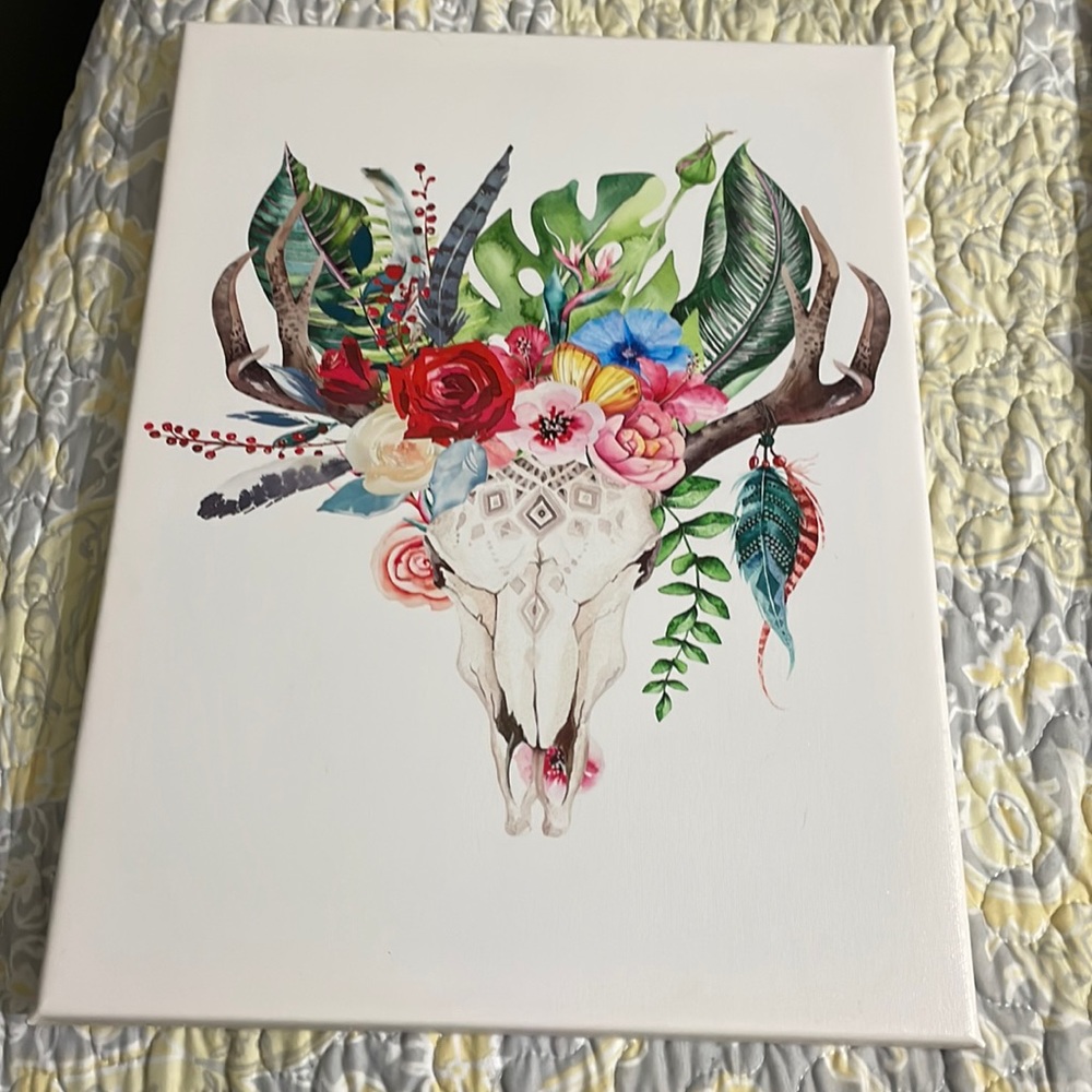 Canvas